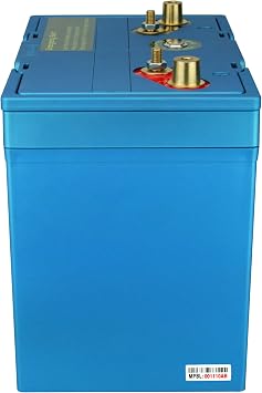Deep Cycle Lithium RV Battery Group Size 34 Replaces Optima SC34DM 8016-103 D34M Bluetop 800CCA Starting Battery Plus Deep Cycle Performance, Built-in Smart BMS