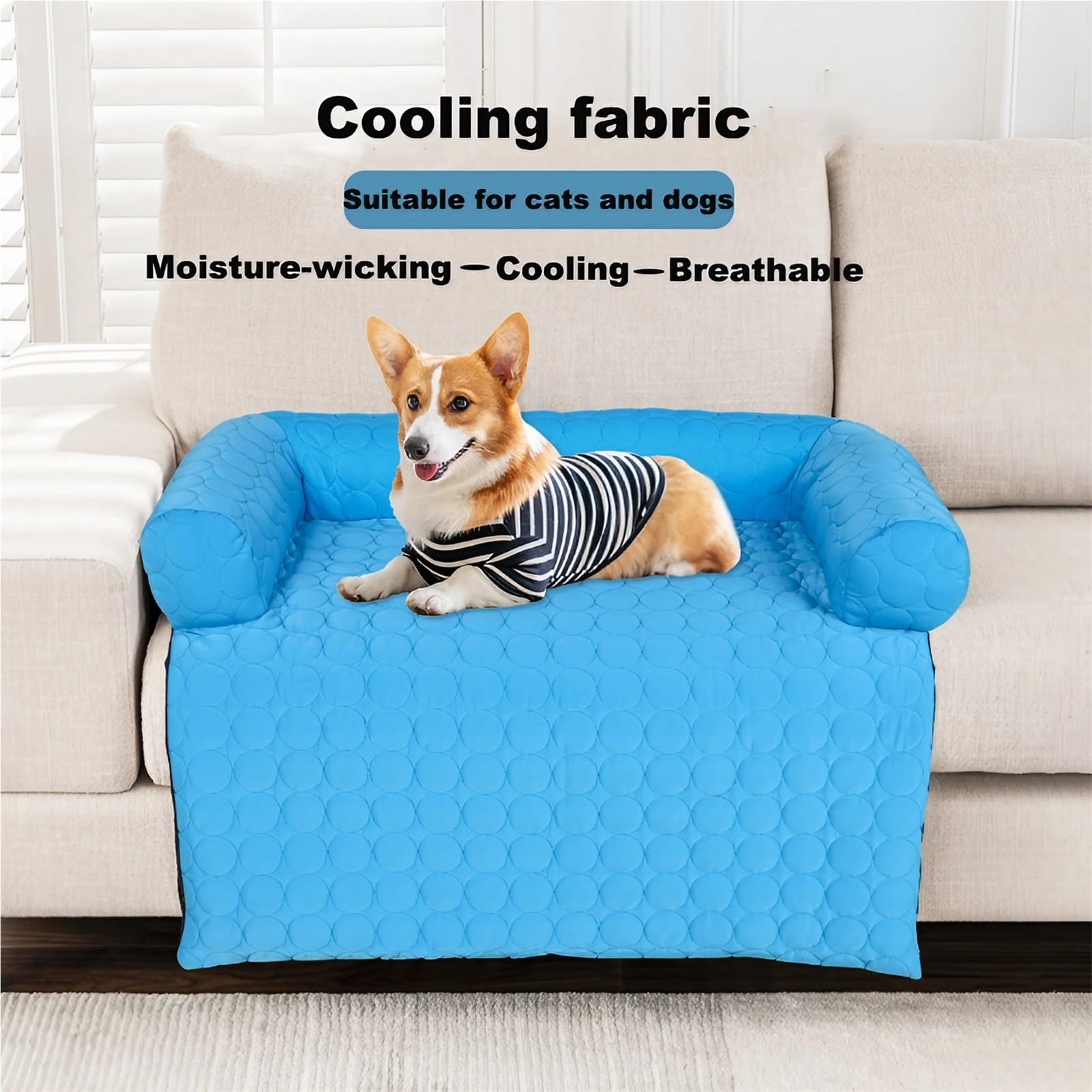 Tapis Rafraîchissant Chien Soie Glacée - Coussin Déhoussable Lavable - Panier Grande Taille pour Chiens/Chats - Idéal Petits/Moyens Animaux(74 x 74 cm)