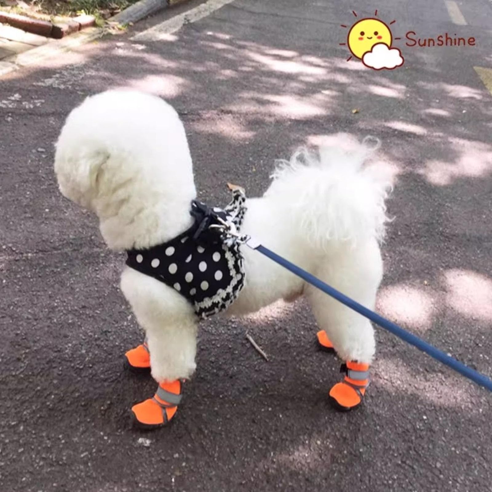 4Er-Set Hundeschuhe, Atmungsaktive Hundestiefel Mit Pfotenschutz Und Reflektierenden Riemen Für Holzböden Und Den Außenbereich, Hundeschuhe Für Kleine, Mittelgroße Und Große Hunde,Orange,XL