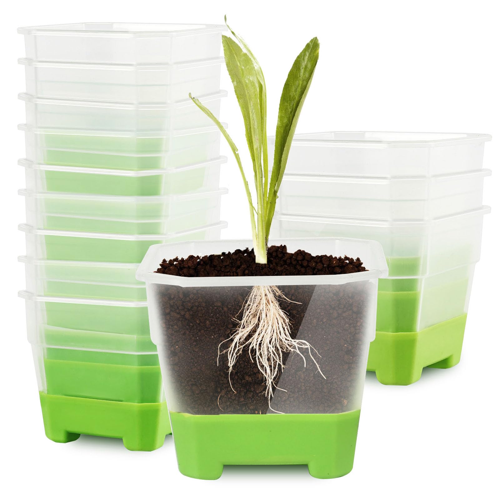 Pot de pépinière avec trous de drainage et base silicone pour transplantation
