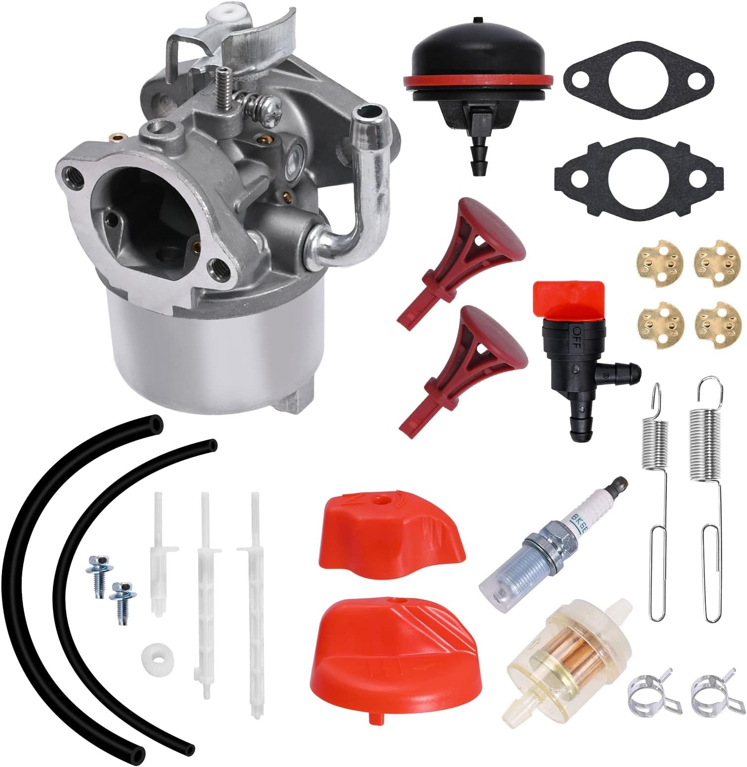 RAGDAA Carburatore 590907 594014 791955 794197 794588 798918 For - Foto 7