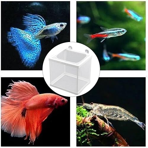 Miniatura 6 de MY MIRONEY Caja de malla para incubadora de peces de 6.3 x 5.63 x 6.22 pulgadas, caja de criador de acuarios, malla de nailon blanco, red