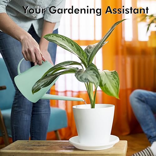 Miniatura 40 de Regadera para plantas de interior y exterior, modernas latas de riego pequeñas con boquilla extraíble, regadera de boquilla larga para plantas Gris