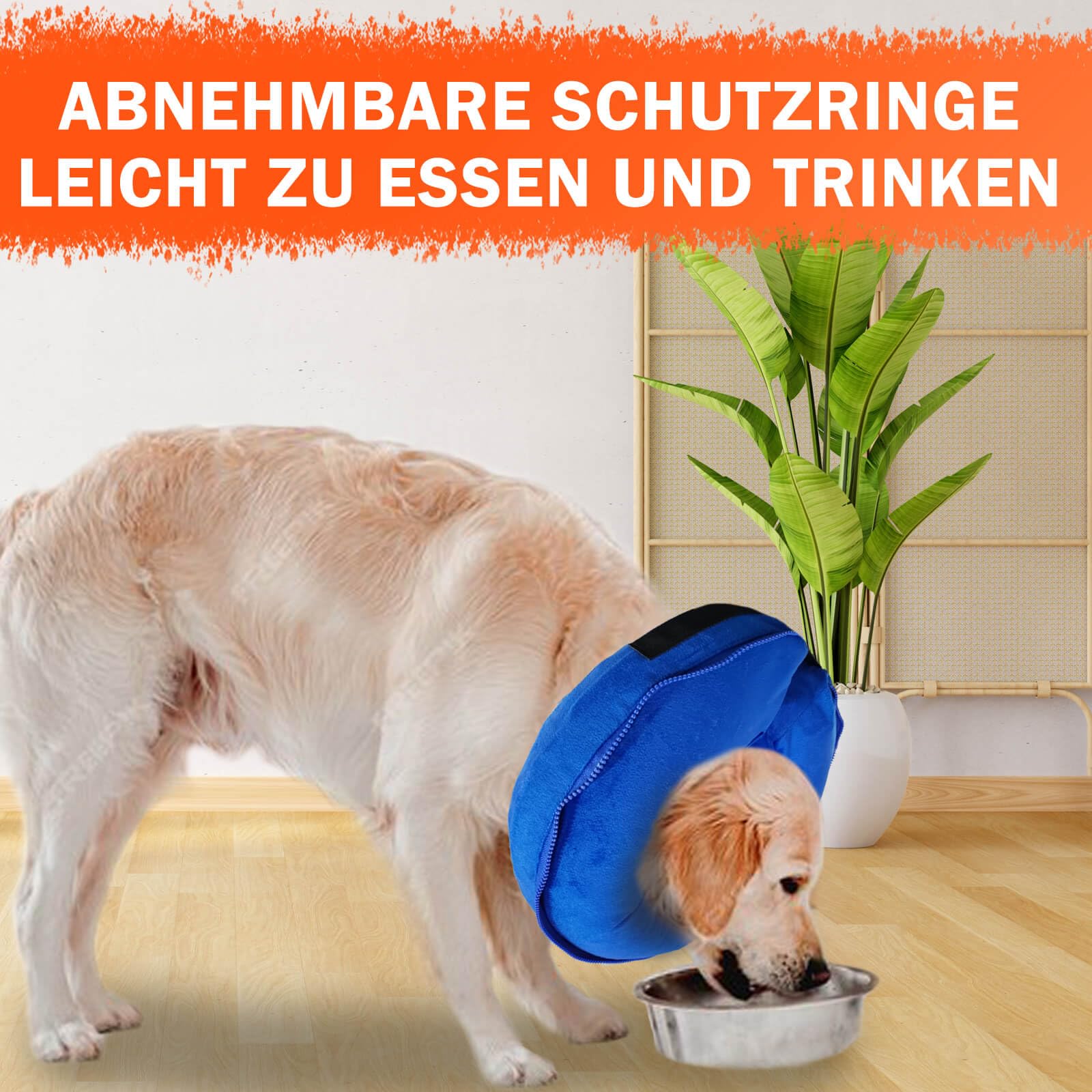 2-IN-1 Aufblasbare Halskrause Hund mit Trichter, Halskrause Katze, Katzenkragen Hundekragen Leckschutz Hund, Hundebody nach OP, Abnehmbar Kragen Katze