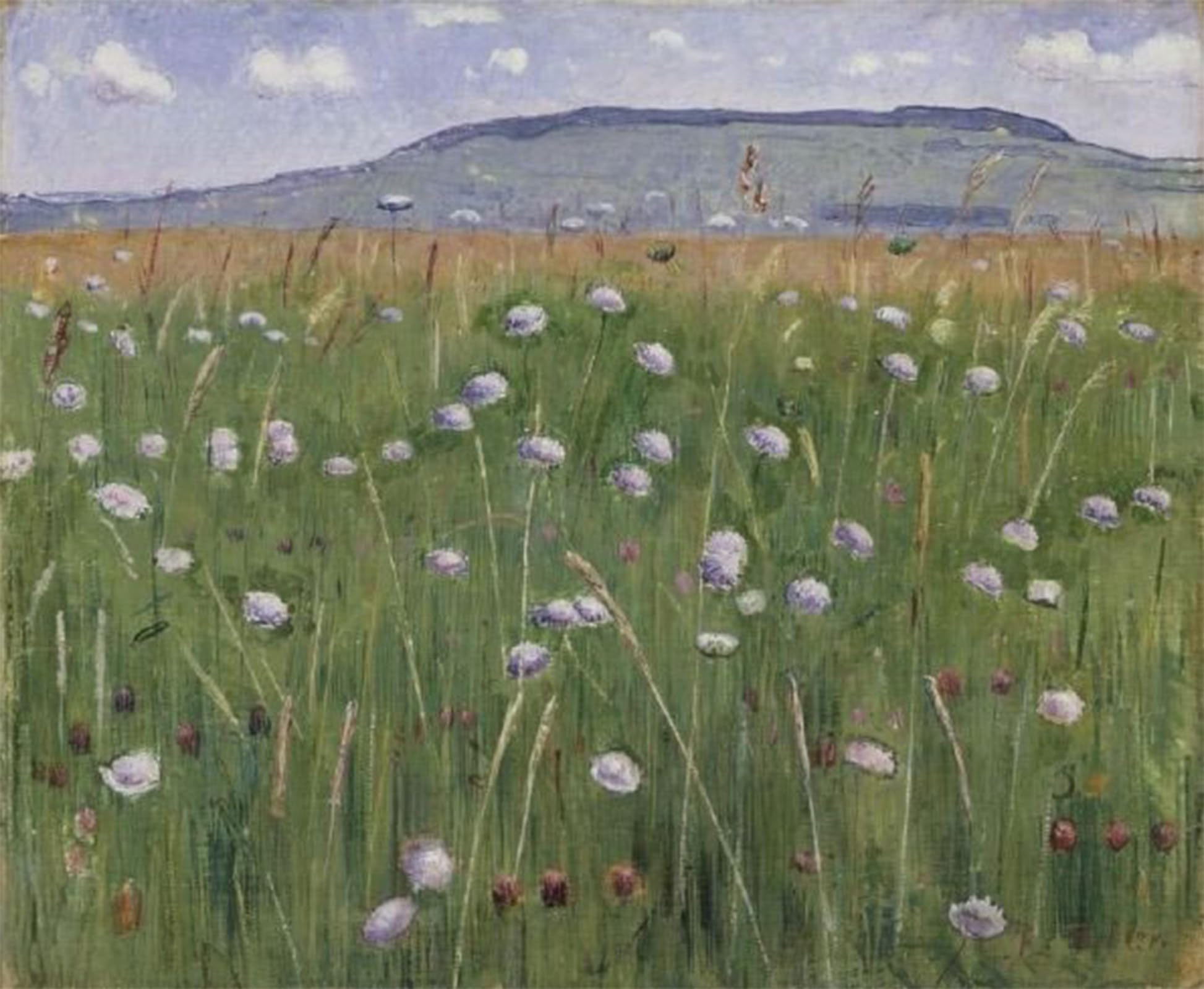 ARTXLXXBN Famous Painting Art Wall Decor Abstract Art Picture Meadow by Ferdinand Hodler Animal Pictures for Home Decor 60x90cm