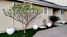 Review Image by Darlene Darlene