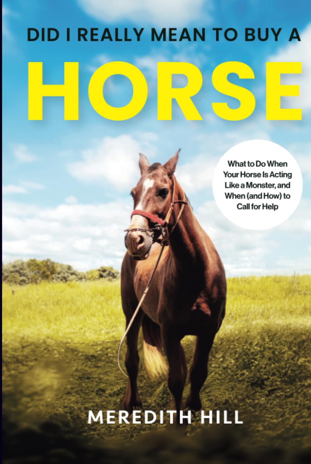 Did I Really Mean to Buy a Horse: What to Do When Your Horse Is Acting Like a Monster, and When (and How) to Call for Help (Horse care)      Hardcover – June 28, 2023