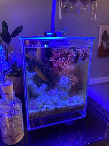 Amazon.co.jp: 水槽ライト 海水魚 サンゴ水槽LED照明 18 Watt フル Amazon.co.jp: 水槽ライト 海水魚 サンゴ水槽LED照明 18 Watt フル