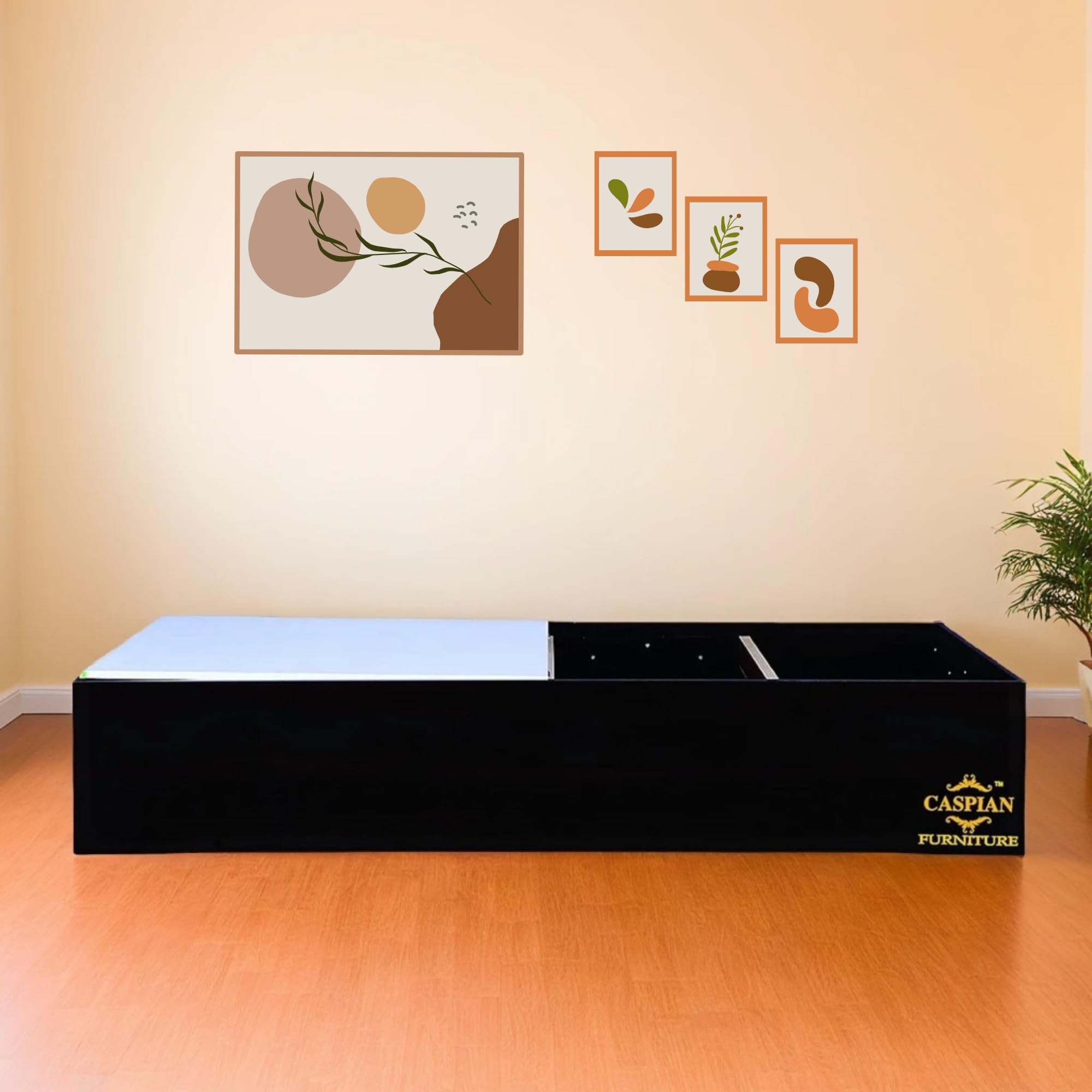 CASPIAN Single Bed Engineered Wood 72 x 36 inch (Coffee Brown) | Multipurpose Divan Bed with Storage Box | Wooden Furniture for Home, Living Room & Bedroom