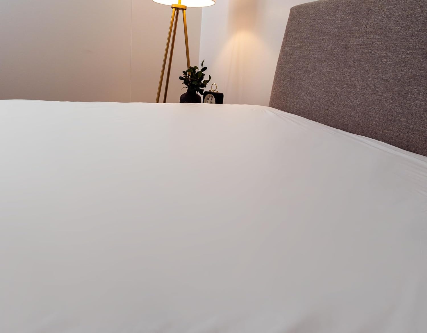 Encased Polyester Hypoallergenic California King Mattress Protector