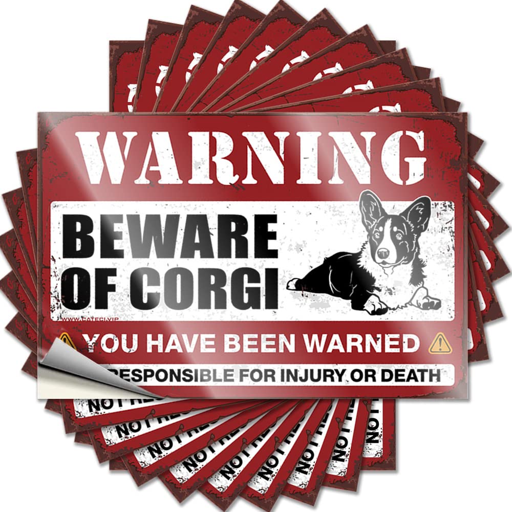 Man CABE Decor Sticker Bumper | Beware of Corgi Accent Military Sticker Pack(8X12CM)