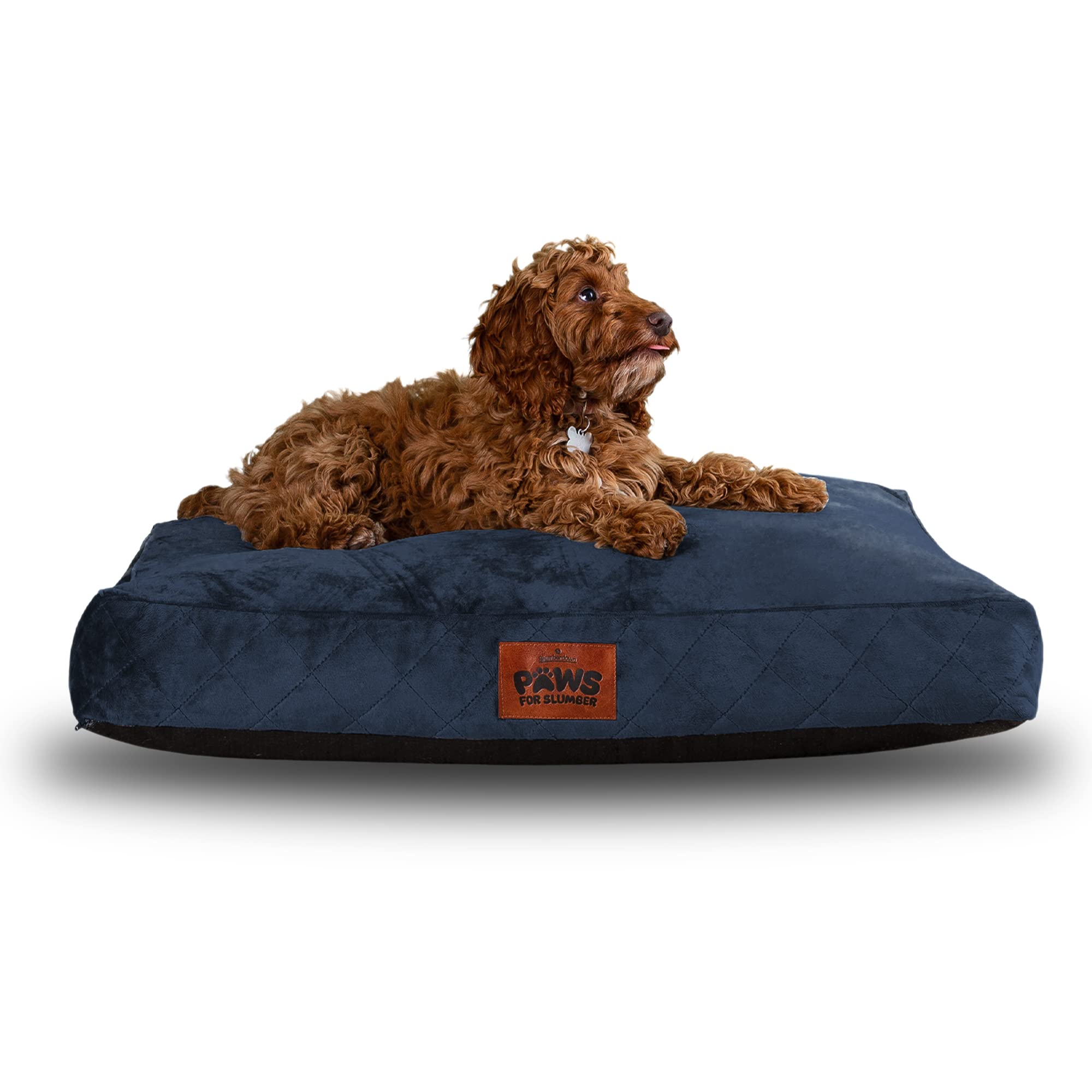 Slumberdown Dog Bed Medium Washable - Raised Anti Anxiety Calming Cat/Puppy Beds, Supportive Dog Crate Mattress for Small/Medium Pet & Adults - Anti Slip Human Dog Bed, Soft Removable Cover, Navy