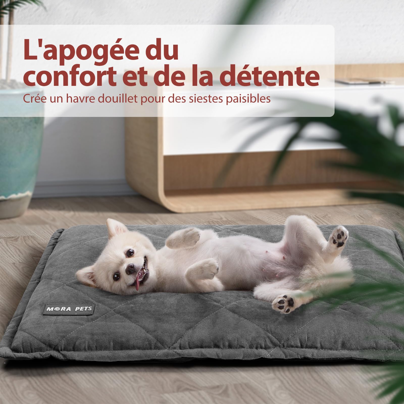 Mora Pets Coussin Auto Chauffant pour Chat et Chiens - Tapis Thermique sans Électricité, Lavable, 60 x 46 cm