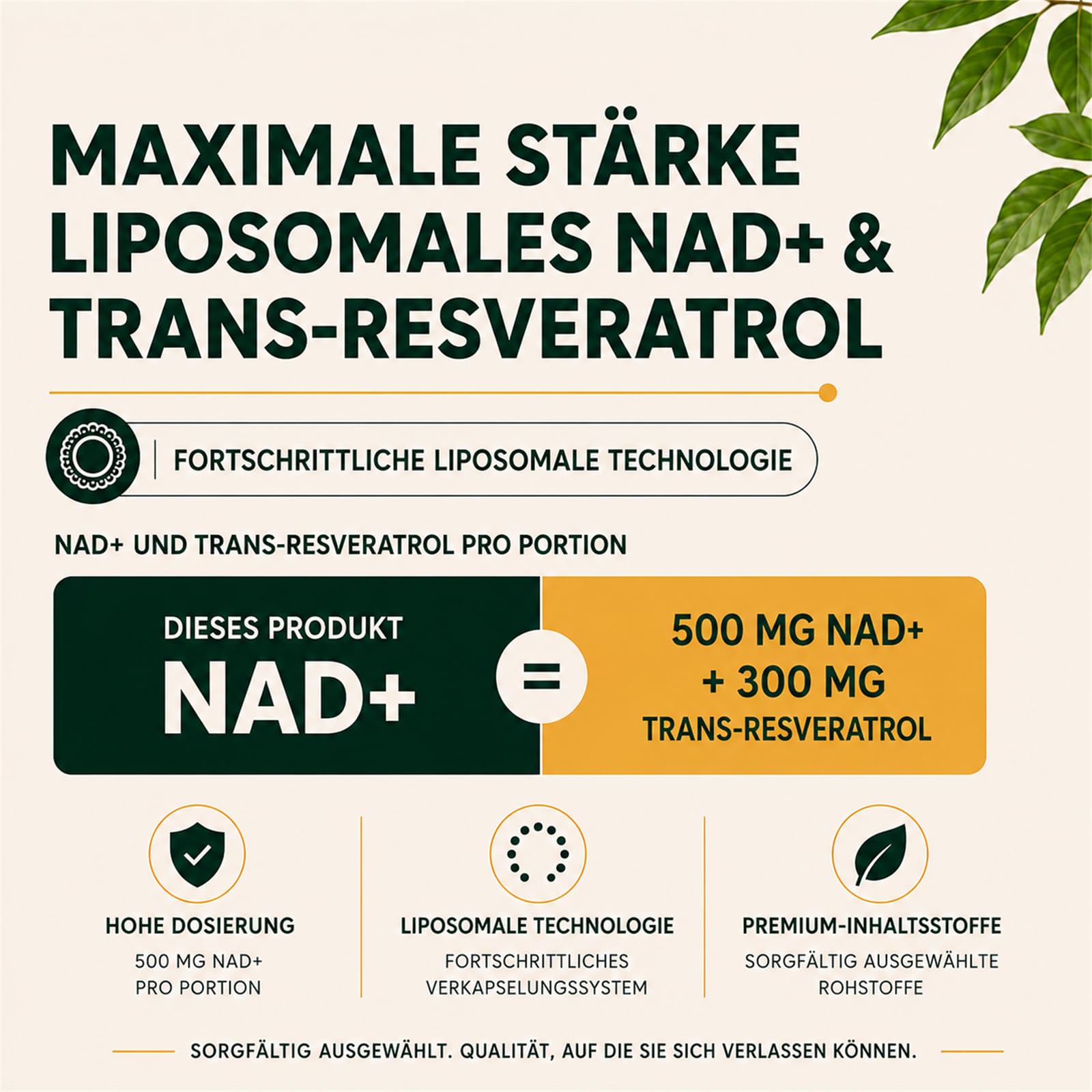 Liposomales NAD+ Trans-Resveratrol 800 mg Softgels, überlegene Alternative, Effizienter als NR, Hohe Absorption, 60 Softgels