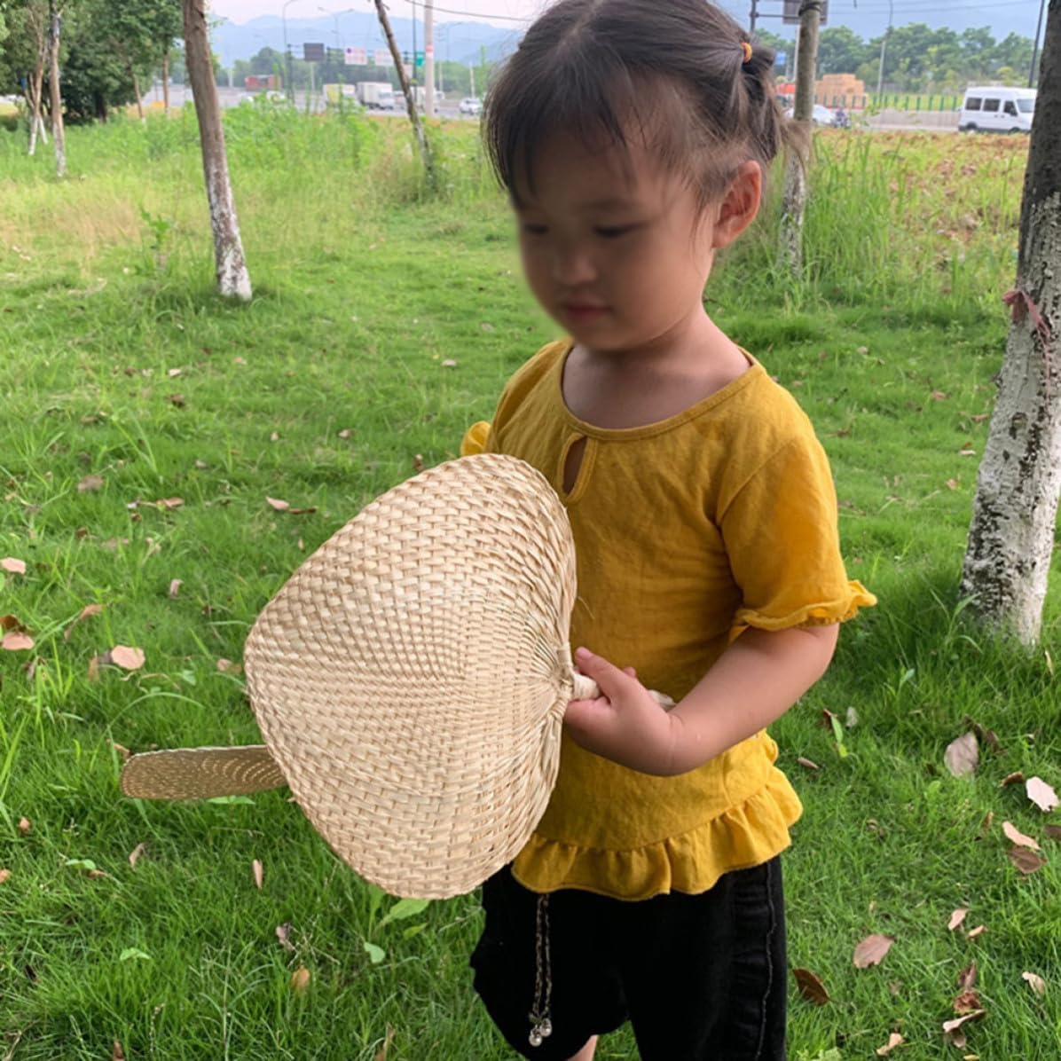 Heart Shaped Glass Hand Fan for Portable Handheld Fan with Refreshing Waving Function for Hot Summer Days and Travel Lightweight
