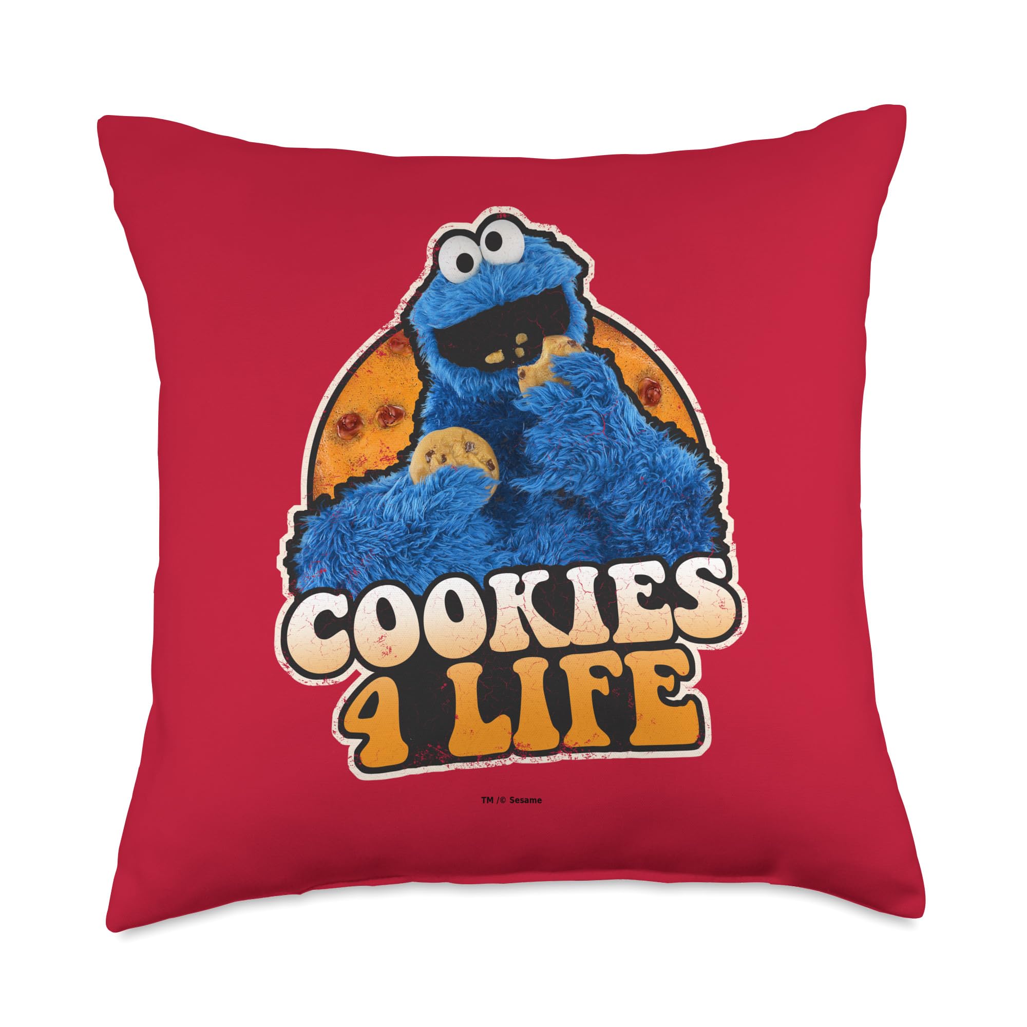 Coussin Sesame Street cadeau original et colore de dimensions 45x45 cm pour les proches
