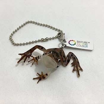 カエル♡ 株式会社トイズキャビン (TOYS CABIN Co.,ltd) on X: 