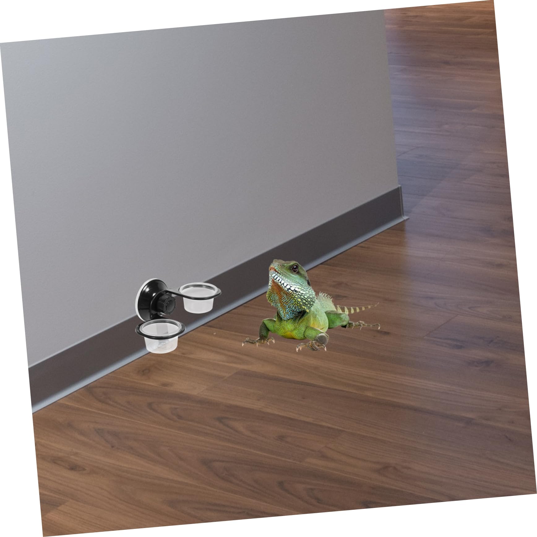 Yardwe 3 Set di Ciotole per Rettili Multifunzione con Base per Cibo E Acqua per Lucertole E Gechi 2 Pezzi*3