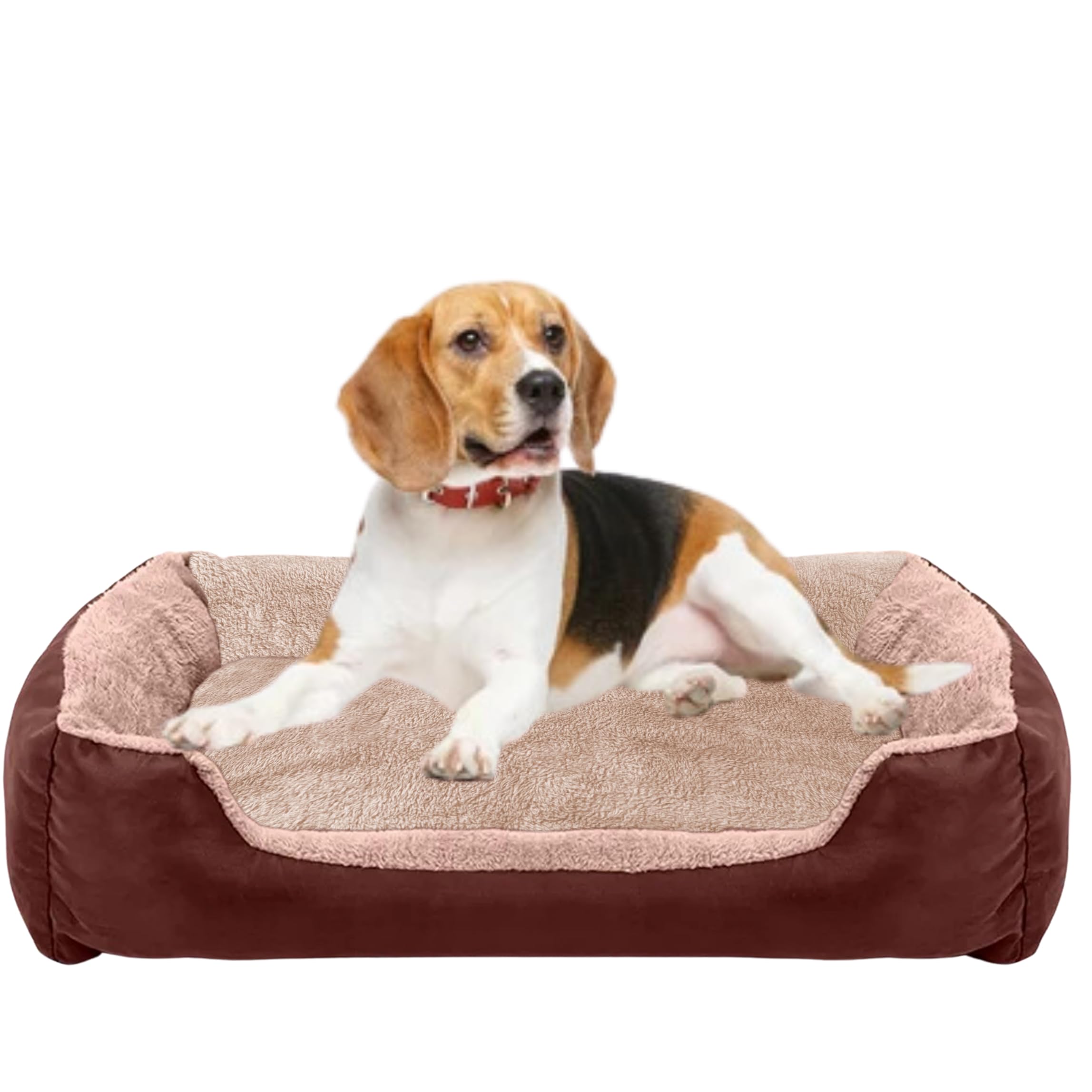 DRILLY Orthopaedic Washable Dog/cat Fur Bed with Fur Blanket for Small | Medium | Large | Extra Large | XXL | XXXL | 4XL Size Dogs | Cats | Puppy | pet | Rabbit | Persian cat | Indoor cat