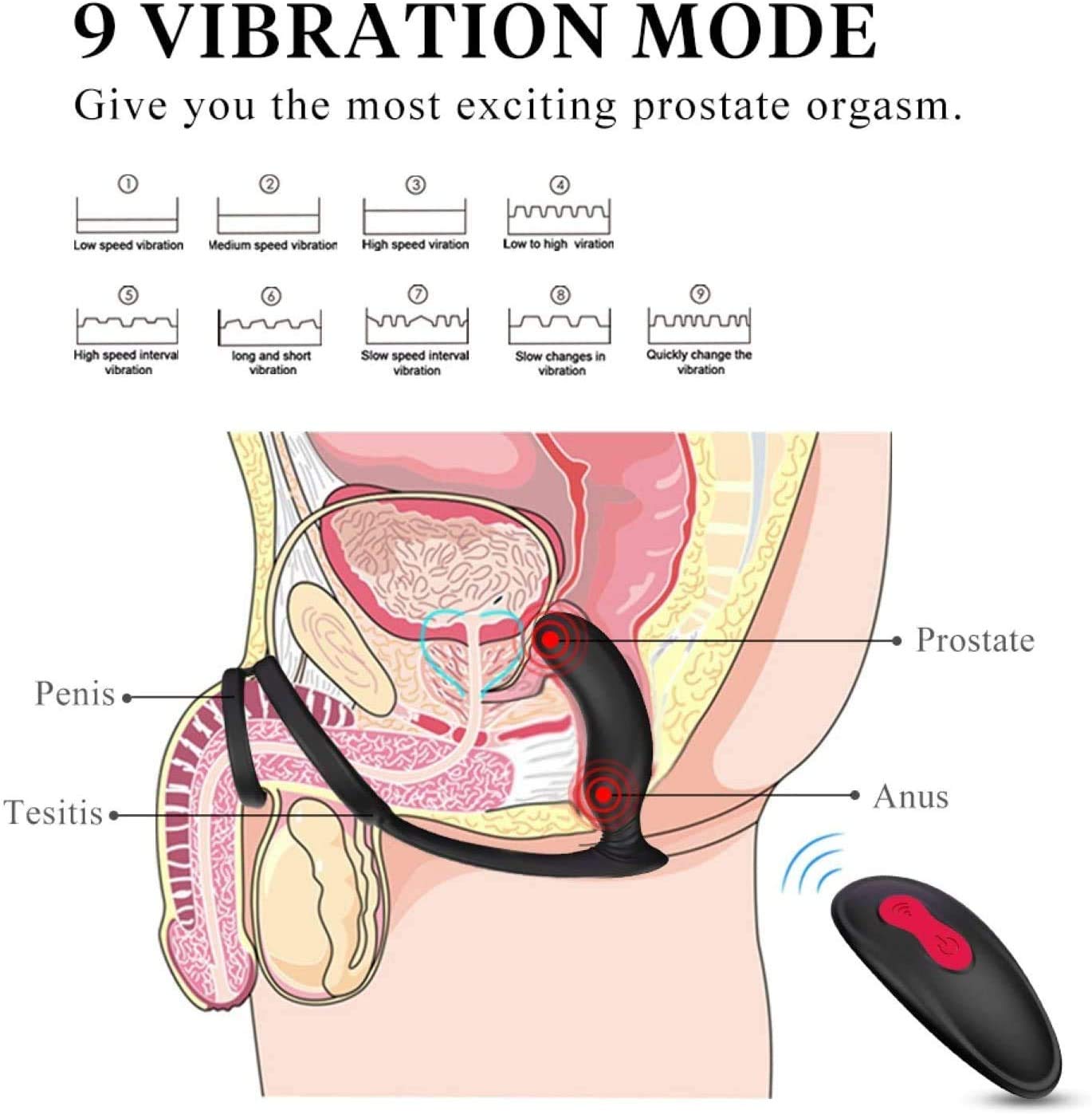 Prostata Vibratore Massaggiatore con Pene E L'anello Testicolare, Stimolatore modalità 9-Livello Anale, Silicone Molle Vibratore Anale Prostatica, Spina di Telecomando Anale