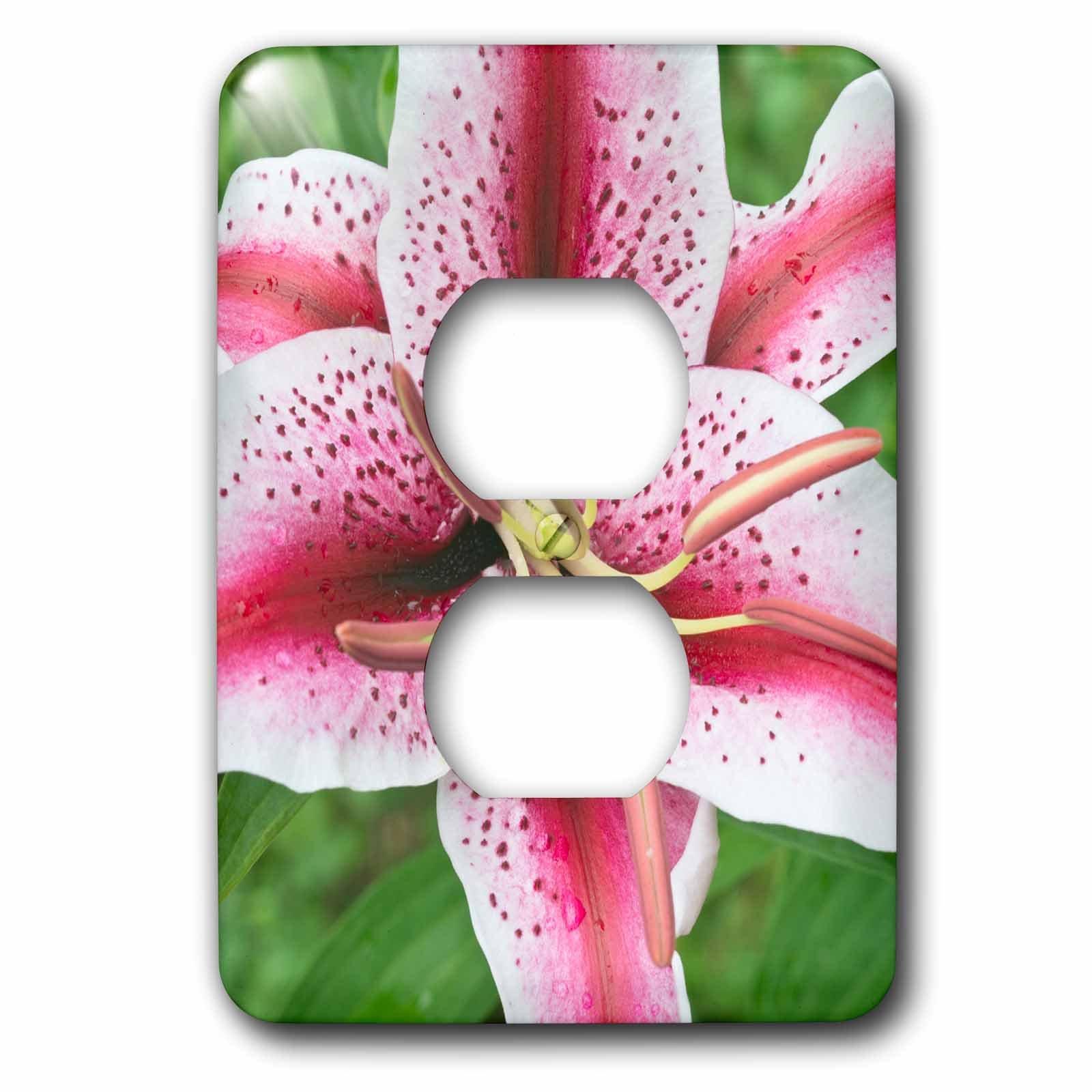 Coque 2 plug outlet Lily USA pour embellir votre salon