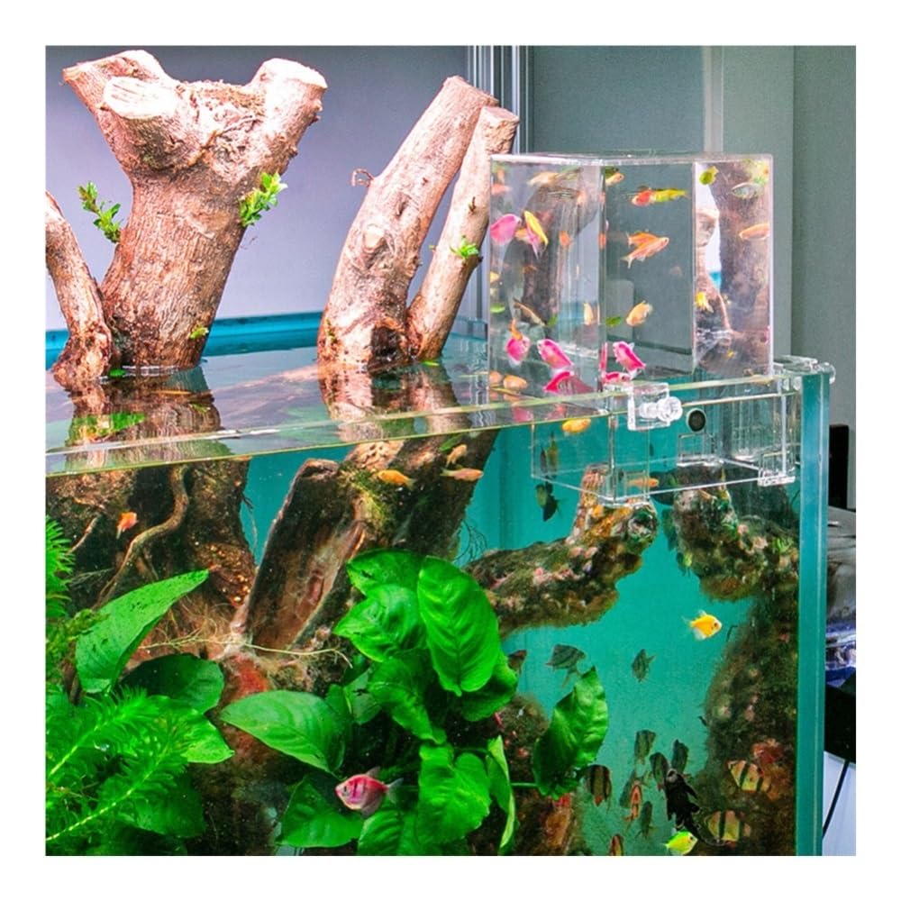 Aquarium Innovation for Aquarien mit Unterdruck: Rechteckiges, ökologisches Tisch-Aquarium aus klarem Acryl, HD-Qualität