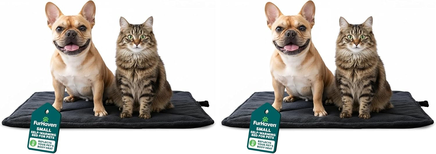 Furhaven ThermaNAP Self-Warming Cat Bed for Indoor Cats & Small Dogs, Washable & Reflects Body Heat - Quilted Faux Fur Reflective Bed Mat - Black, Small (Pack of 2)