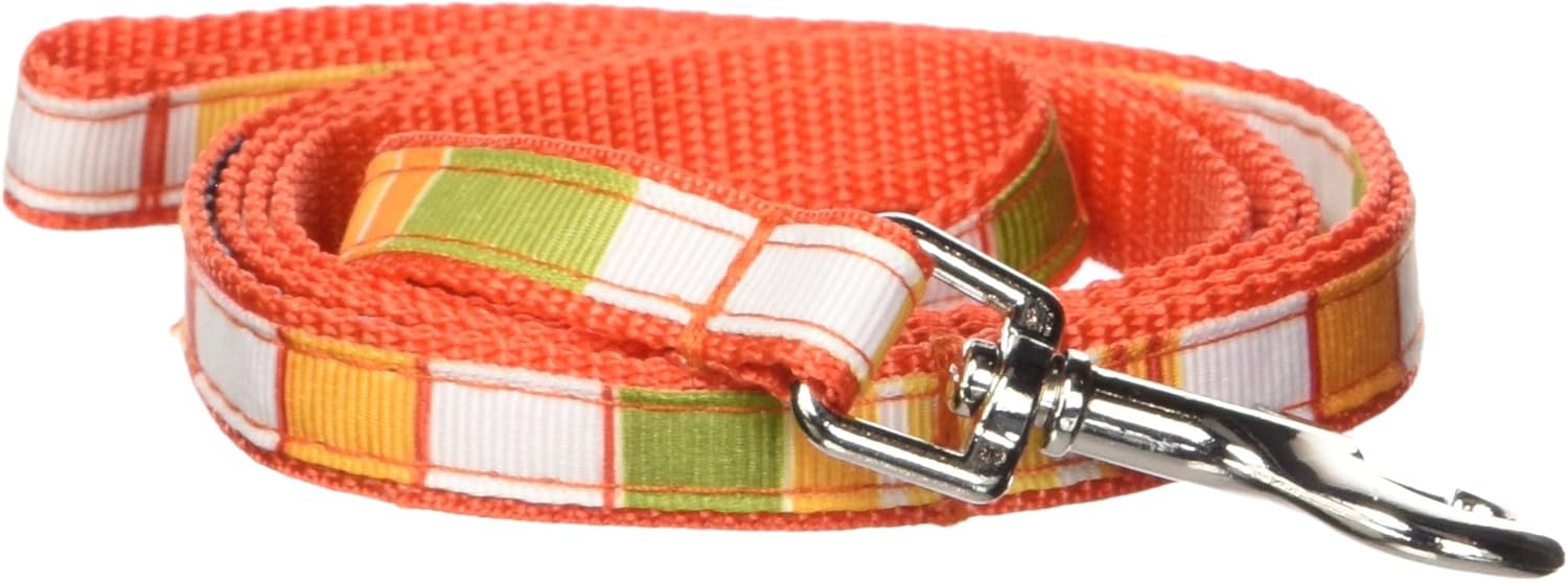 Medium Red/Multi Stripe Dog Leash: 3/4" Wide, 6ft Length - Made in USA. : Pet Leashes : Pet Supplies