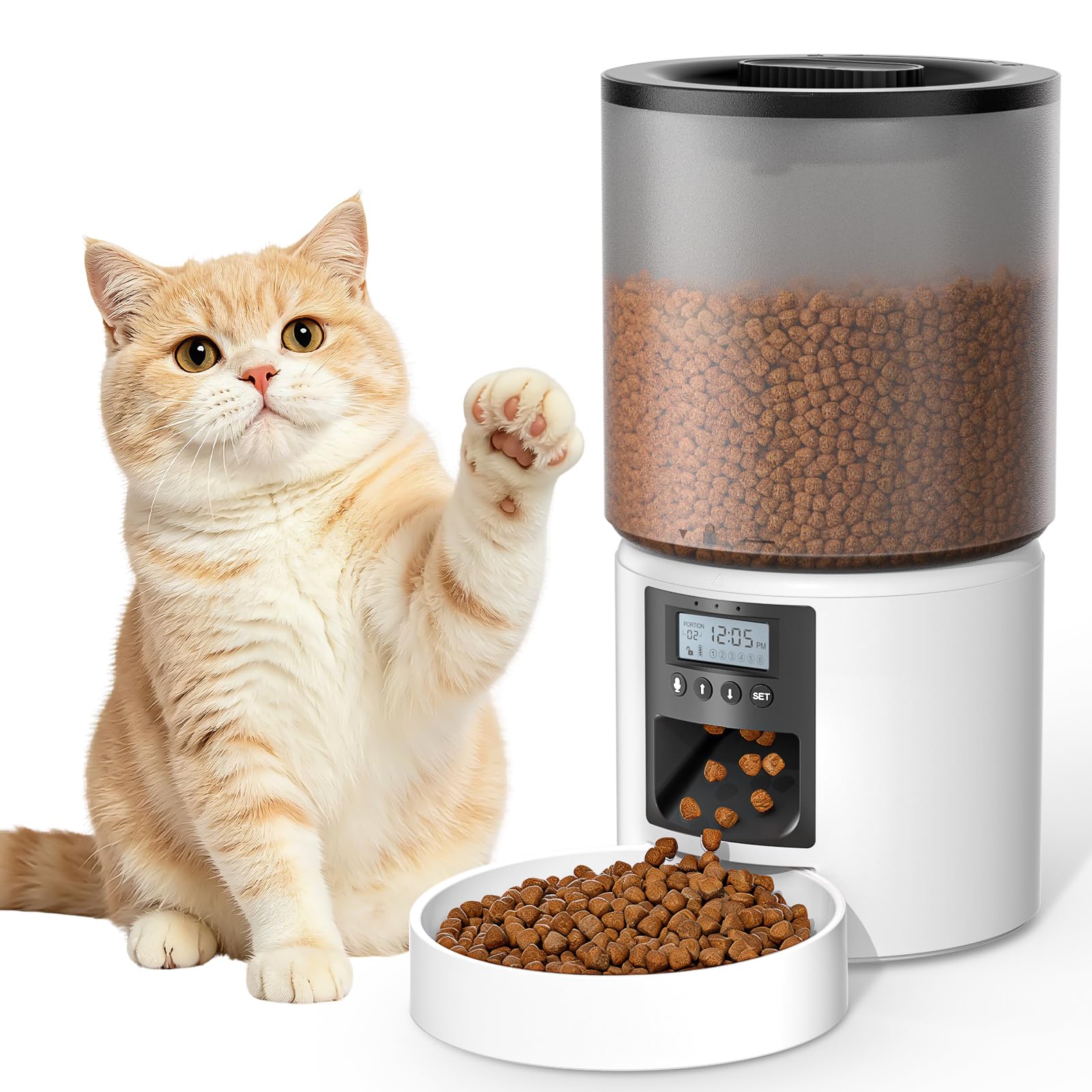 Distributore Automatico Cibo Gatti 4L Dispenser Crocchette Gatto con Timer Programmabile e Schermo LCD Distributore Cibo Gatti con Registrazione Vocale 10s fino a 1-6 Pasti Giornalieri
