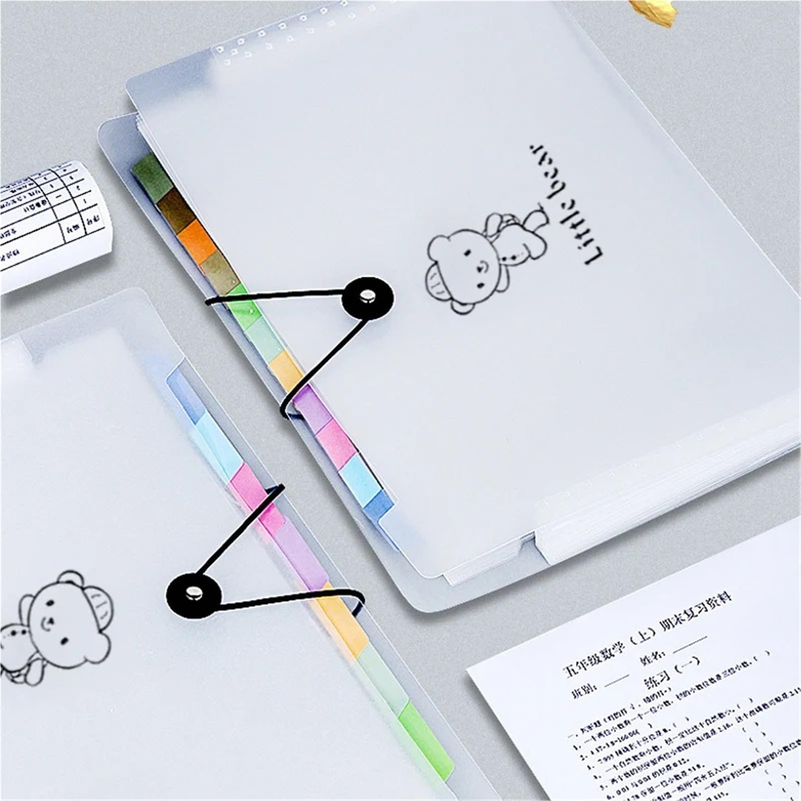 Carpeta Clasificadora Carpeta de archivos acordeón transparente | Bolsa impermeable for documentos A4, soporte de papel de prueba for oficina escolar(8 grids 12 grids-2)