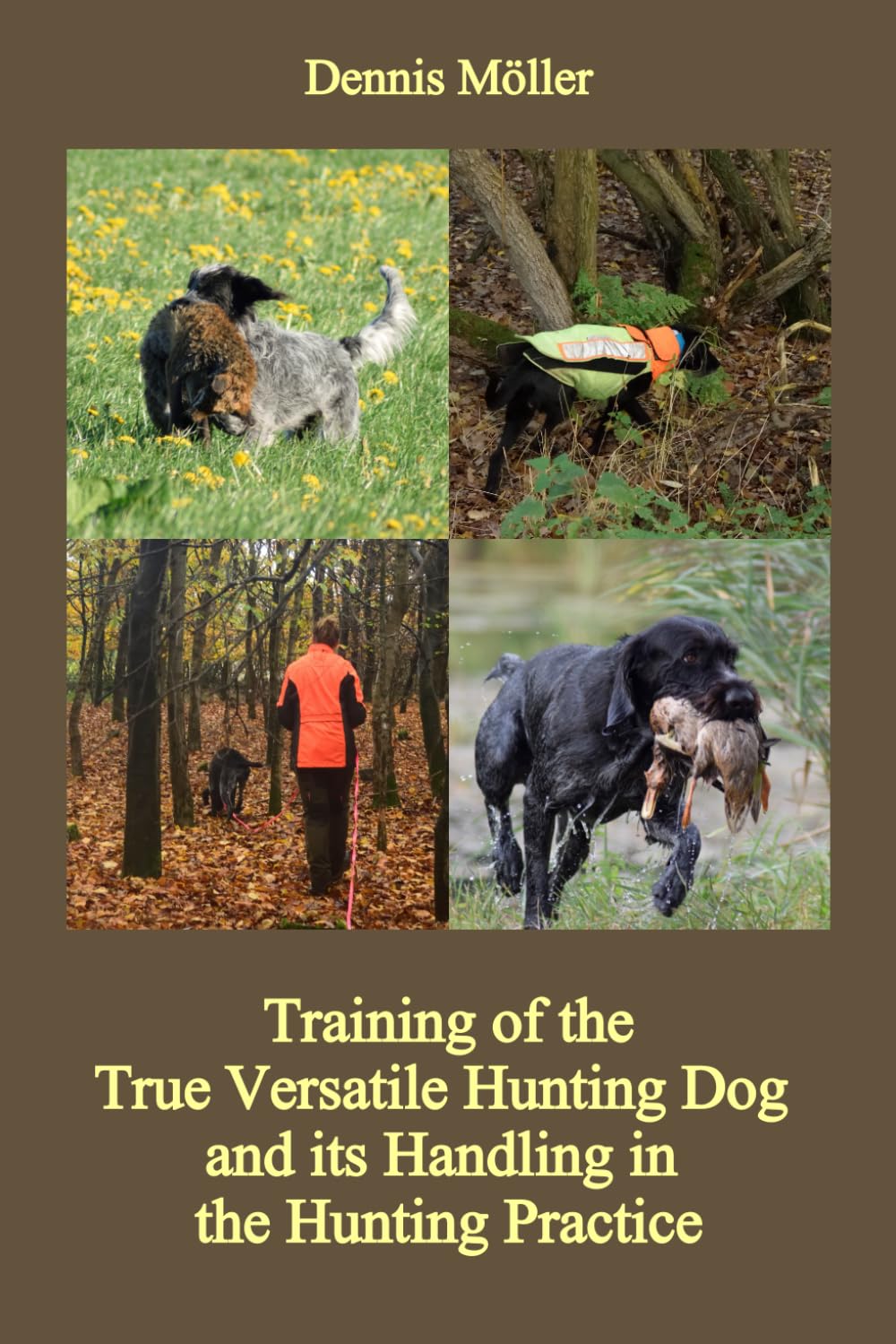 Training of the True Versatile Hunting Dog and its Handling in the Hunting Practice: Pointing, Retrieving, Flushing, Blood Tracking