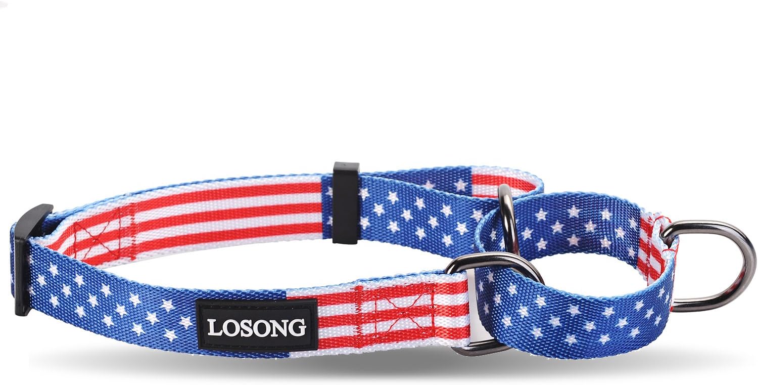 Losong Martingale Dog Collars with USA Flag Pattern,Fashion Safety Adjustable Shiny Polyester Collar with Metal D Ring for Medium Dogs…
