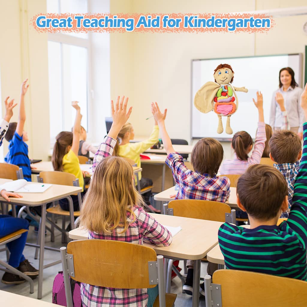 Juguetes de anatomía para niños, modelo de cuerpo humano, peluche de órgano educativo preescolar, kits de aprendizaje científico, kits de ciencia de órganos corporales, juguetes sensoriales 2