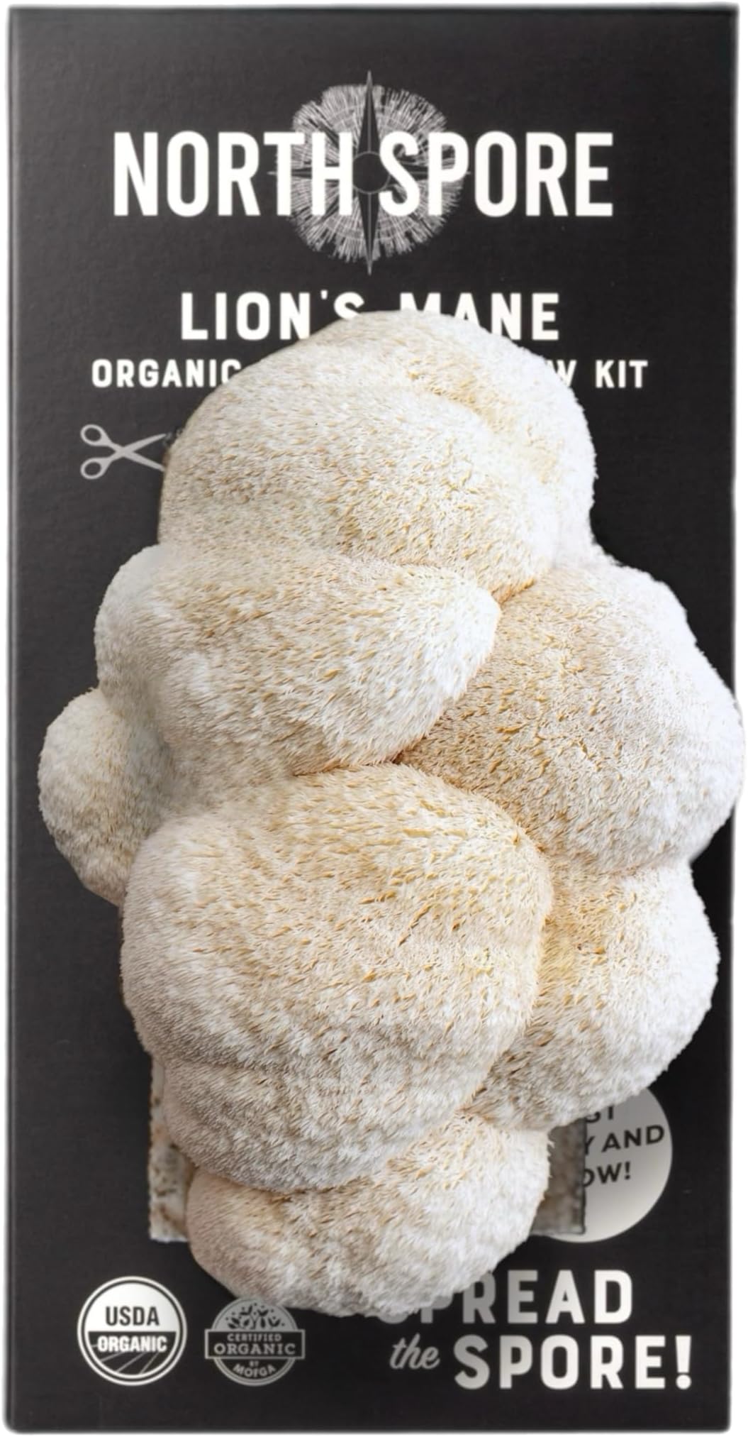 North Spore Organic Lion's Mane Mushroom Spray & Grow Kit (4 lbs) | USDA Certified Organic, Non-GMO, Beginner Friendly & Easy to Use | Grow Your Mushrooms at Home | Handmade in Maine, USA