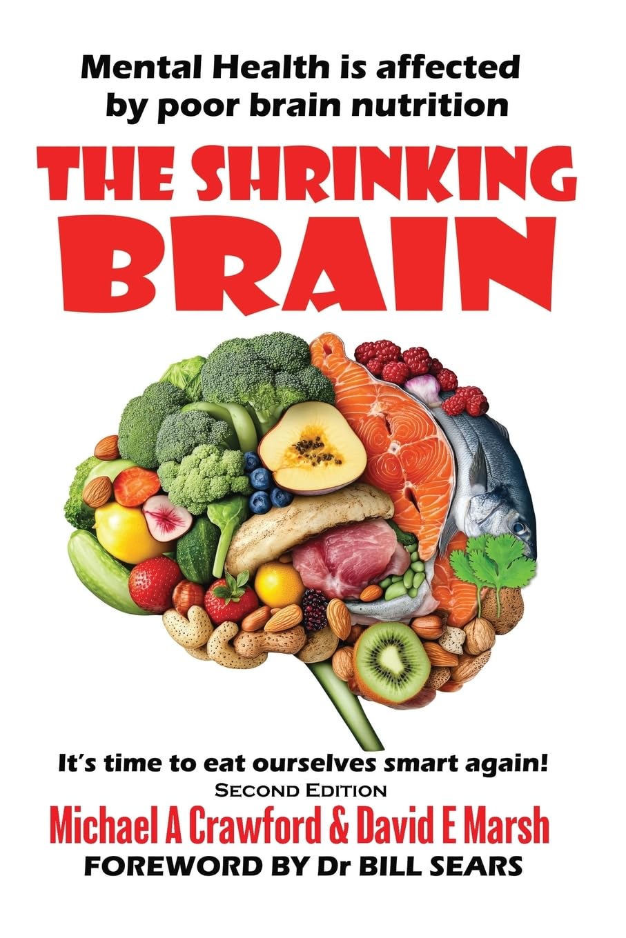 The Shrinking Brain: Mental Health is affected by poor brain nutrition