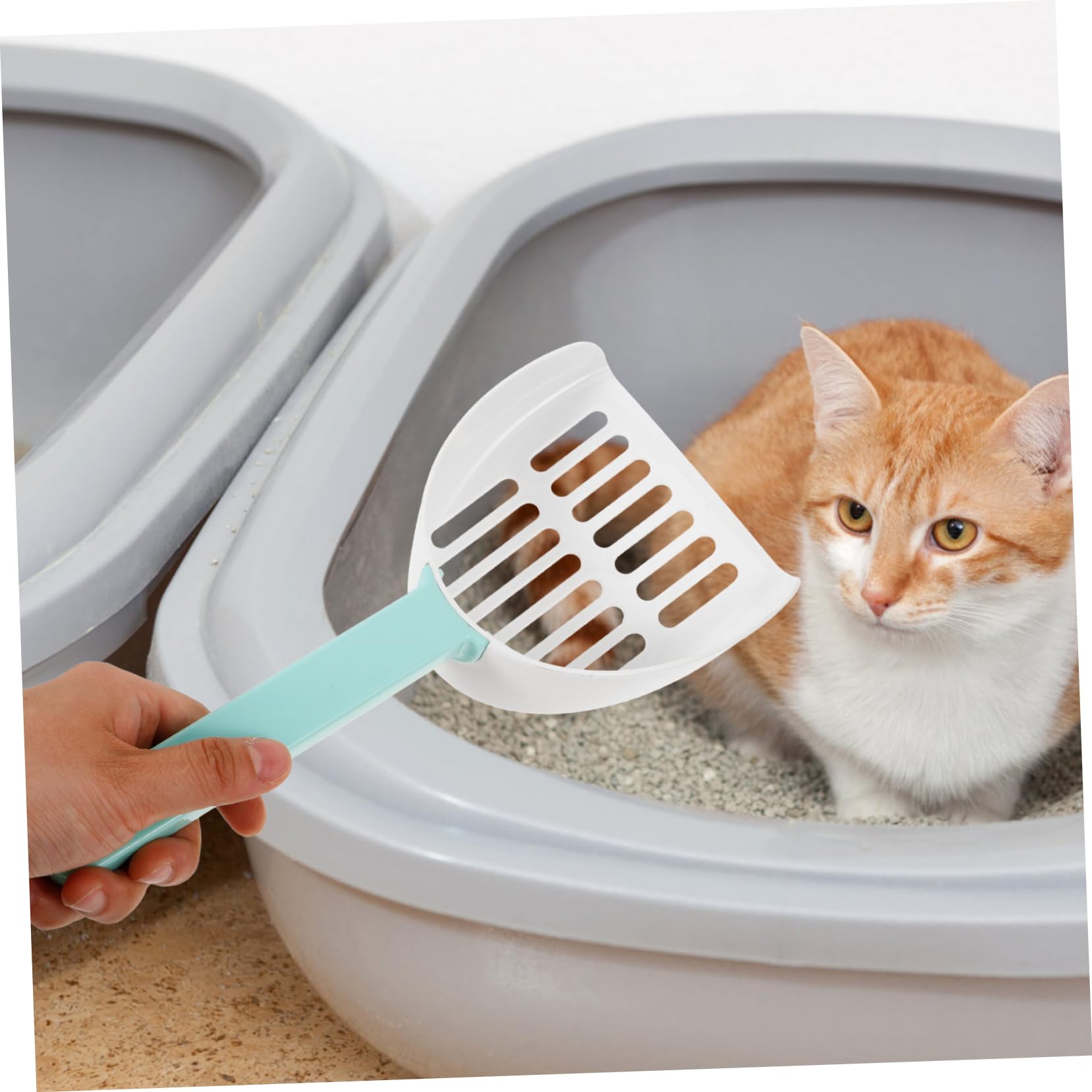 POPETPOP 5 Pz Pala per lettiera per Gatti Paletta per di Gatto Pale per rifiuti Domestici Gatti Pale Profonde Paletta per di Gattino Pala per Gatti Pala per rifiuti plastica ABS