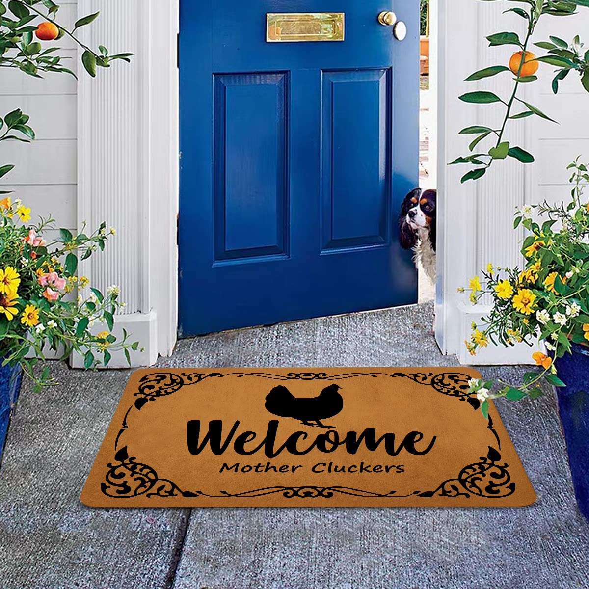 Welcome Mats for Front Door Outdoor Entry Doormat Non-Slip Rubber Mat for Home Indoor Farmhouse Funny Kitchen Rugs (Design May Vary)