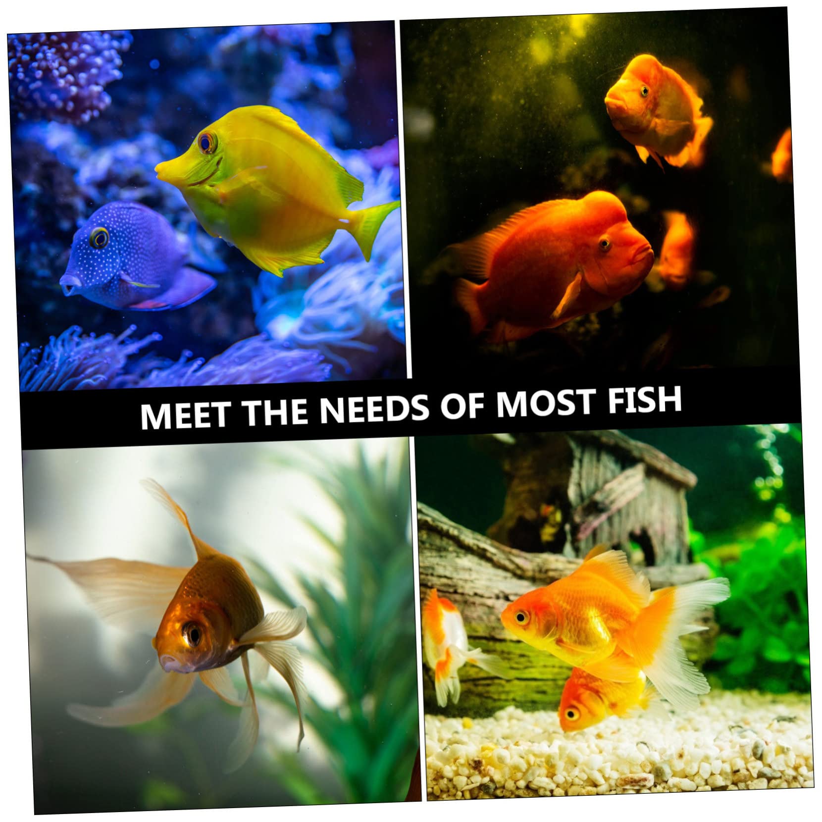Lot De 5 Éponges De Nettoyage pour Aquarium Haute Efficacité Remplaçables