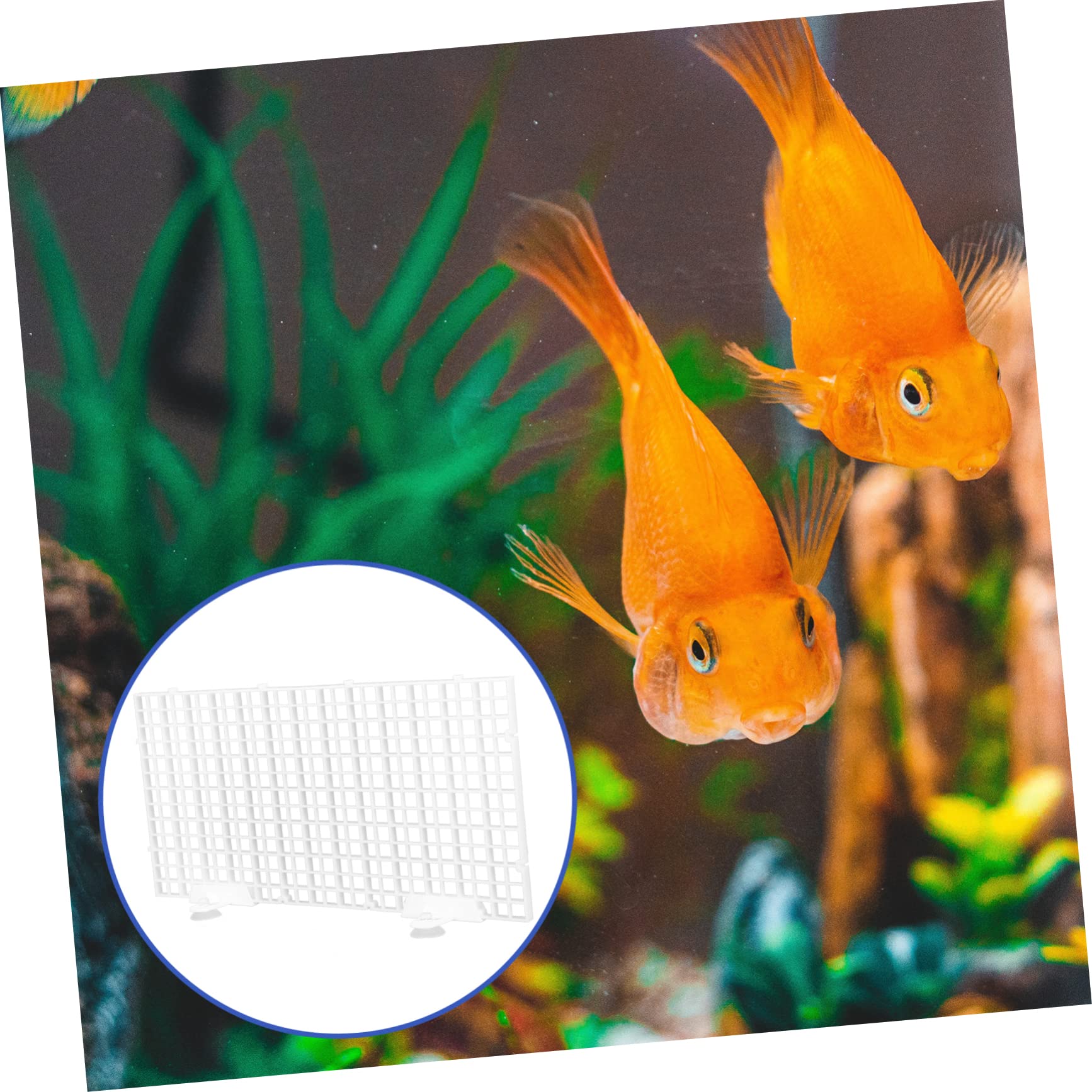 ABOOFAN 3 Juegos Placa de Aislamiento de Tanque de Peces Divisor de Rejilla de Tanque de Peces Suministros de Filtro de Acuario Almohadilla de Filtro Inferior Tablas divisorias de Arena