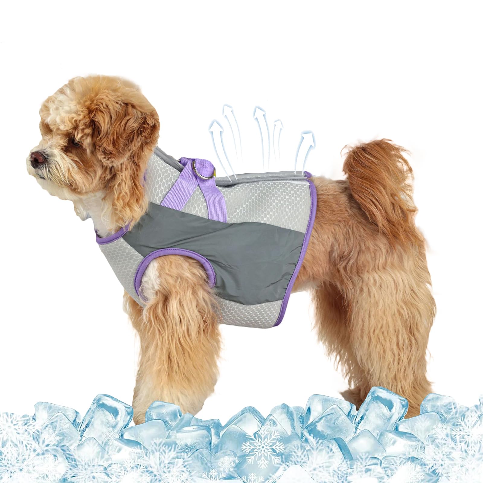 SEIS Cooling Dog Harness Summer Pet Reflective Vest Breathable Cat Costume for Small Medium Large Dogs (Purple, M)