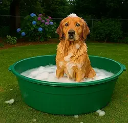 Bacia Gigante 80L Lavanderia Banho Cachorro Piscina Criança c/Alças