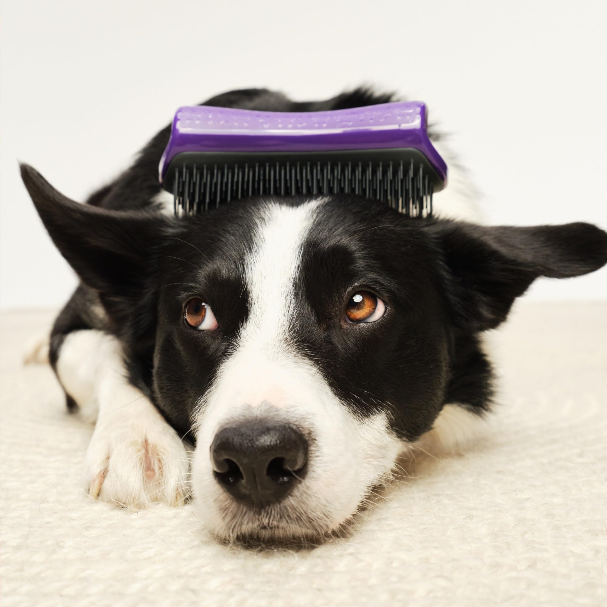 Tangle Teezer Large Pet Teezer De-Shedding - Szczotka do czesania na sucho lub do kąpieli - Idealna szczotka do usuwania luźnej sierści psów - Fioletowo-szara