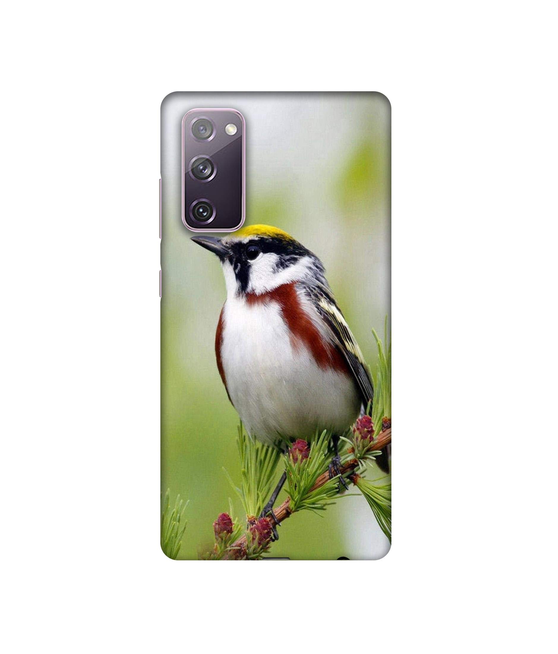 Bird Pattern Design 3D Printed Hard Back Case Cover for Samsung Galaxy S20 FE-image-9