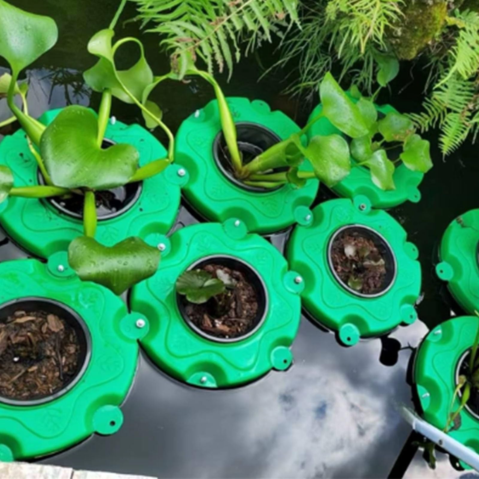 Cesto Galleggiante per Piante acquatiche da laghetto | Isola galleggiante per laghetti: verde ornamentale e riqualificazione fluviale(A)