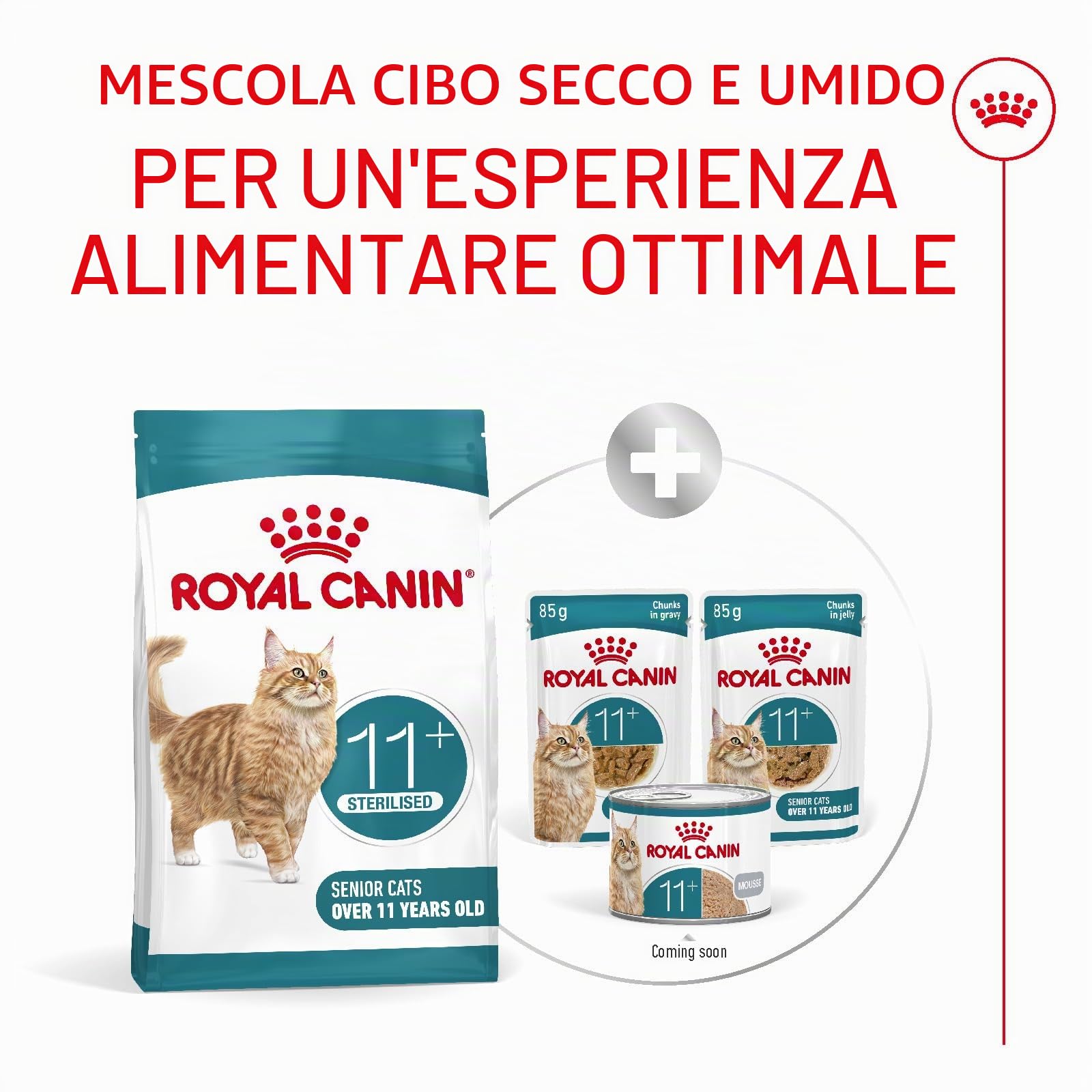 ROYAL CANIN AGEING 11+ | 4 kg | Cibo secco per gatti anziani a partire dall'11° anno di vita | Formula con il complesso HealthyAge7™ | Contiene crocchette facili da masticare