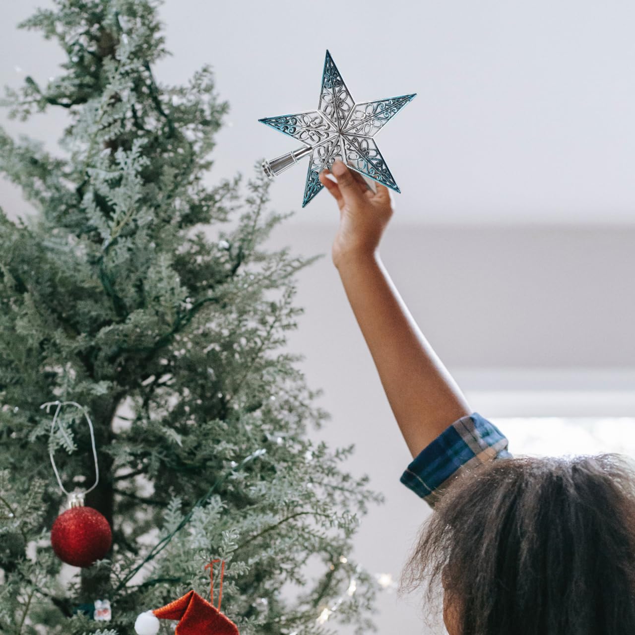 Echte kerstboom kopen: hier moet je op letten