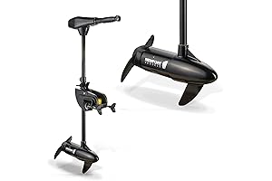 Newport Vessels NV Series: 5HP Electric Outboard Motor