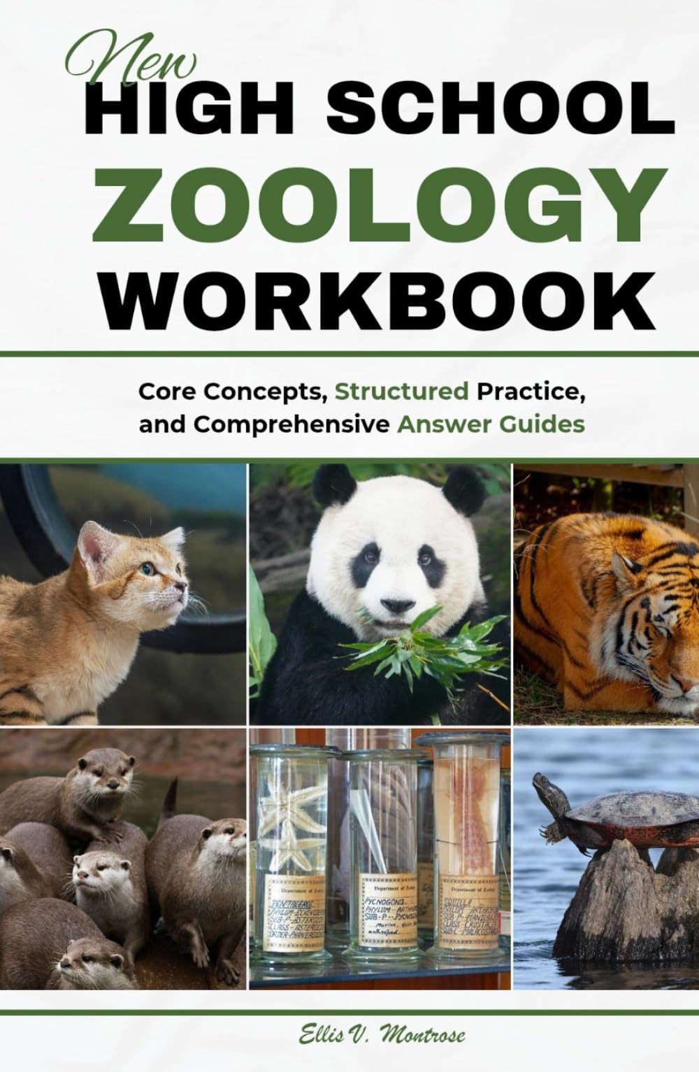 NEW HIGH SCHOOL ZOOLOGY WORKBOOK: Core Concepts, Structured Practice, and Comprehensive Answer Guides (NextGen Study Series)