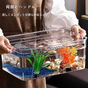 Tonxin（トンシン） 安全な蓋と水生植物ホルダー付きの透明な