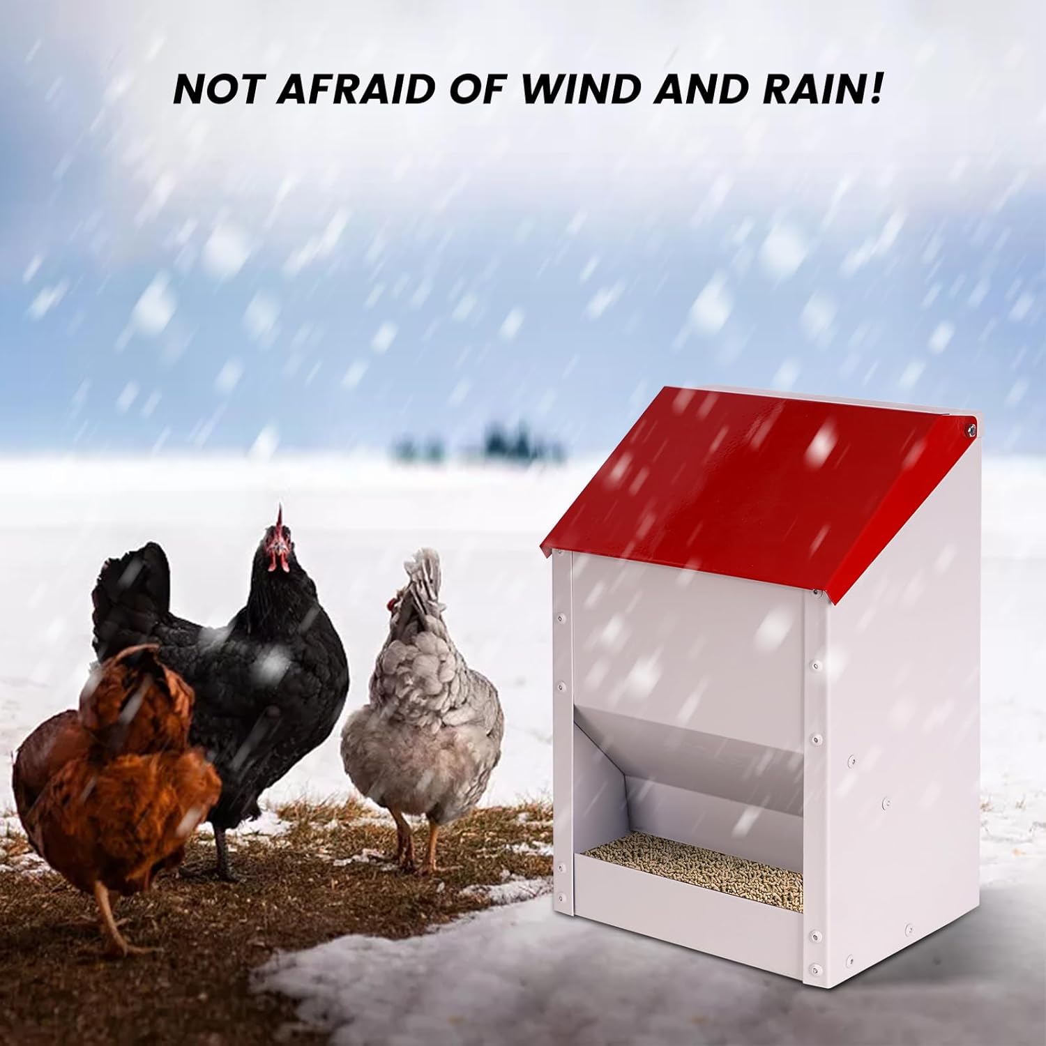 Galvanized Wall Mount Chicken Feeder No Waste Hanging Chicken Feeder with Lid Weatherproof Metal Automatic Poultry Feeder Trough Food Dispenser for Outside Coop (10 lbs)